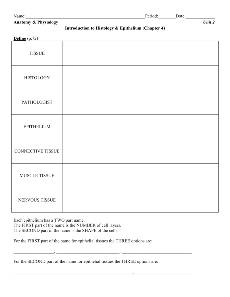 Anatomy Worksheet Epithelial Tissues Within Tissue Worksheet Section A