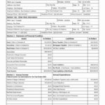 010 Free Personal Financial Statement Template Worksheet Unique Pertaining To Personal Financial Statement Worksheet