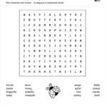 027 Christmas Decorations Word Search Frees For 2Nd Grade Surprising With Regard To Y To Ied Worksheets