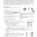 1 Cell Reproduction Worksheet Together With Cell Reproduction Worksheet Answers