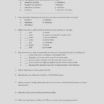 10 Nutrition Label Worksheet Answer – Siinc – Label Maker Ideas Along With Nutrition Label Worksheet Answer Key Pdf