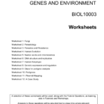 10003 Tutorials Worksheets 2018  Biol10003 Genes And Environment Pertaining To Nucleic Acids Worksheet