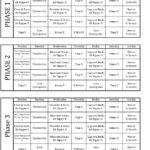12 Best Images Of Free Printable Worksheets P90X  P90X Plus Workout Together With Chalean Extreme Worksheets
