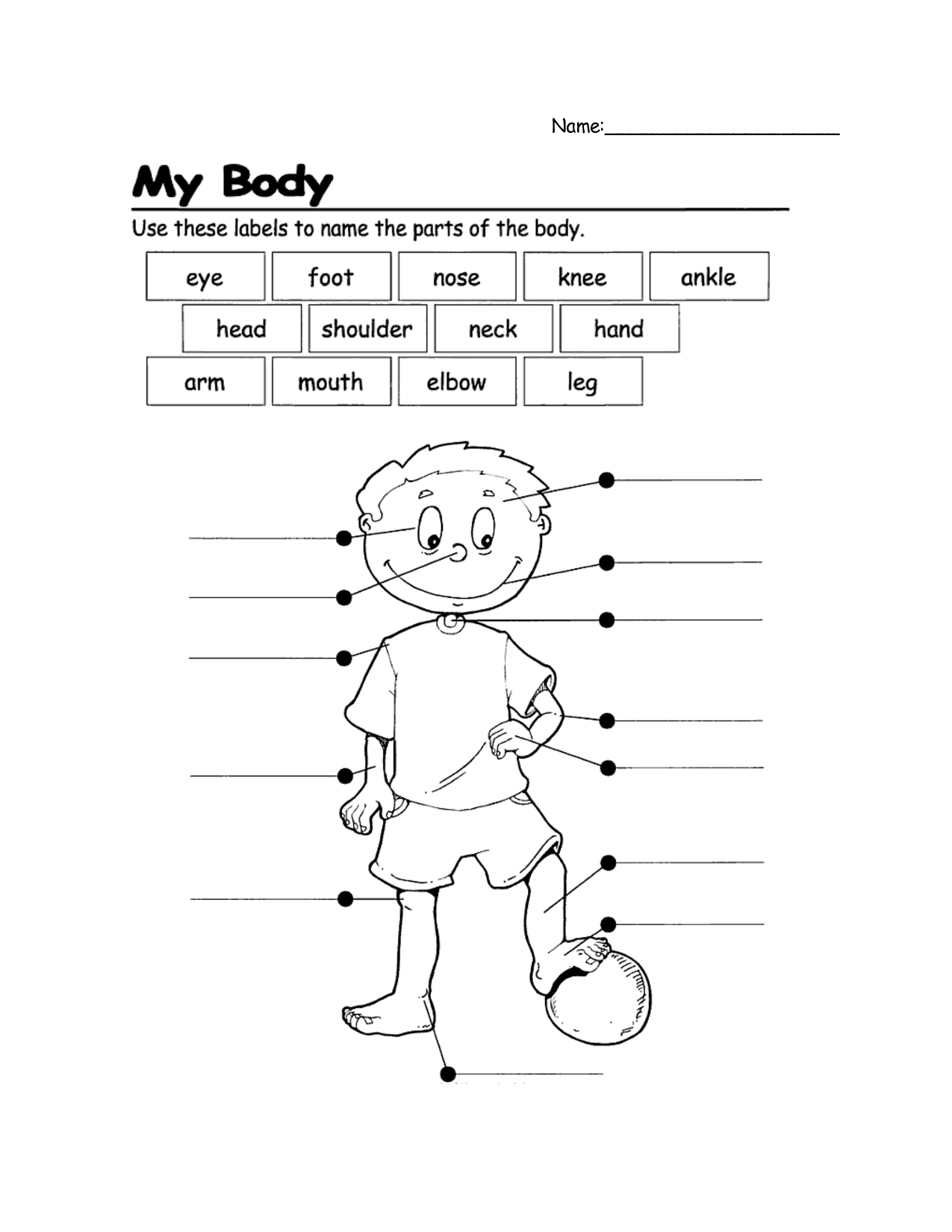 13 Drawing Worksheets Human Body For Free Download On Ayoqq Cliparts Intended For Human Body Worksheets
