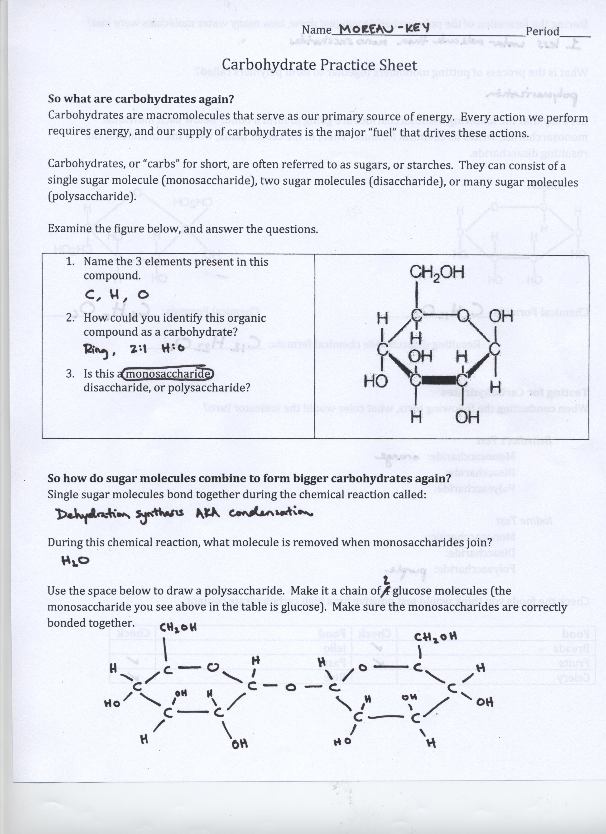 138 Class Materials  Mr Moreau's Website Throughout Biochemistry Basics Worksheet Answers