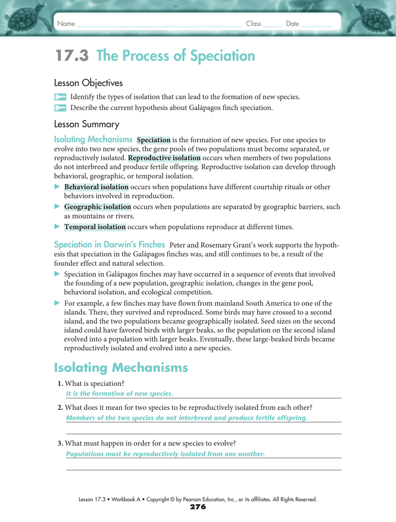 173 The Process Of Speciation Together With Speciation Worksheet Answers