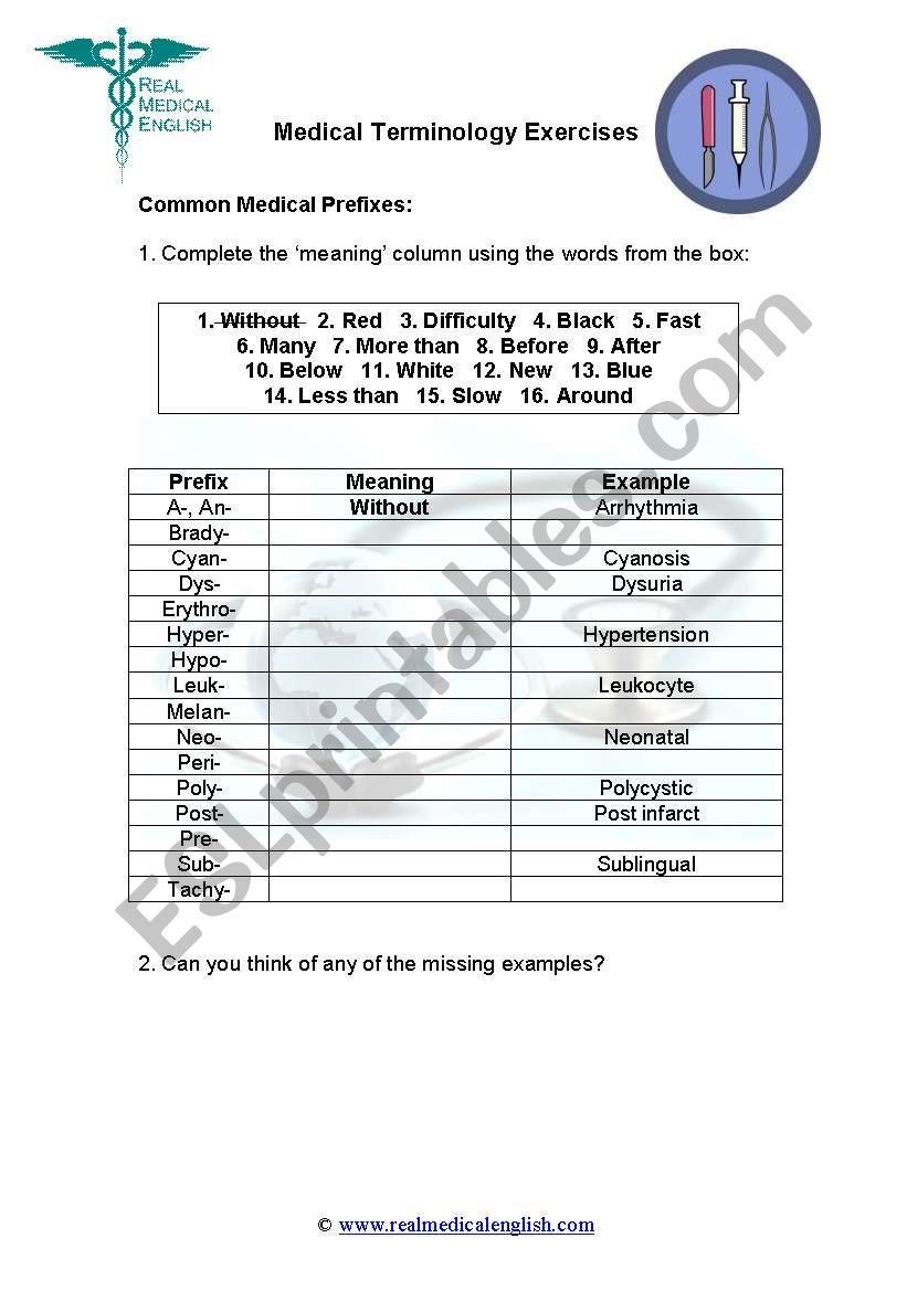 2 Medical Terminology  Prefixes  Esl Worksheet With Medical Terminology Prefixes Worksheet