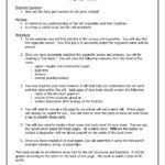 20 Elegant Mythbusters Penny Drop Worksheet Answers Pics  Grahapada Within Mythbusters Penny Drop Worksheet Answers