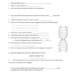 2015 Dna Review Also Dna Review Worksheet