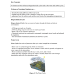26 Cycling Of Matter In Ecosystems Pg 48 Key Concepts With The Water Cycle Worksheet Answer Key