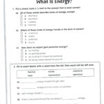 27 Awesome The War To End All Wars Worksheet Answers Key Pictures With The War To End All Wars Worksheet Answers Key