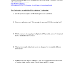 30 Dna Structure And Replication Answer Key Answer Replication Key Throughout Dna Structure And Replication Worksheet Answer Key