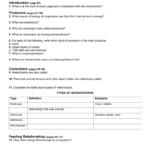 32 Energy Flow Ws Throughout 3 2 Energy Producers And Consumers Worksheet Answer Key