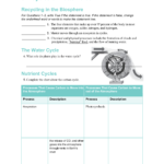 34 Cycles Of Matter7986 Recycling In The Biosphere For Cycles Of Matter Worksheet Answers