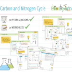 4X Carbon And Nitrogen Cycle  2X Powerpoint Ppts And 2X Worksheets Along With Carbon Cycle Worksheet