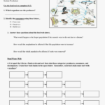 50 New Of Glamorous Producers Consumers And Decomposers Worksheets Intended For Producer Consumer Decomposer Worksheet