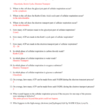 6 Respiration Worksheet Pertaining To Cellular Respiration Worksheet High School