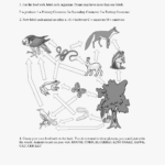 63 Beautiful Of Food Webs And Food Chains Worksheet Photos Together With Food Chains And Webs Worksheet