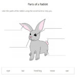 635 Free Animals Worksheets With Regard To Baby Animals Worksheet