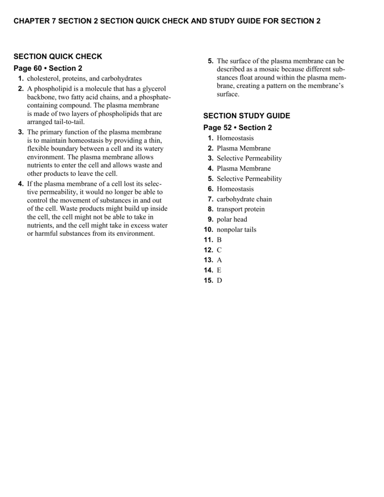 72 Quick Check And Study Guide Together With Chapter 7 Section 2 The Plasma Membrane Worksheet Answers
