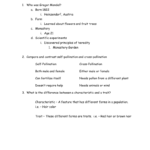 7Th Grade  Mendel  His Peas  Chapter 3 Section 1 Regarding Chapter 3 Section 1 Basic Principles Worksheet Answers