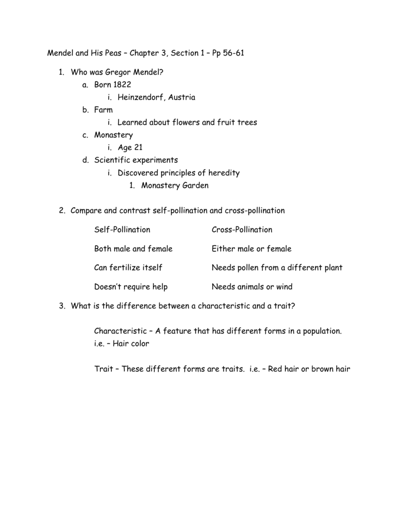 7Th Grade  Mendel  His Peas  Chapter 3 Section 1 Regarding Chapter 3 Section 1 Basic Principles Worksheet Answers