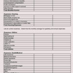 8 Free Family Budget Worksheet Templates For Excel With Household Budget Worksheets