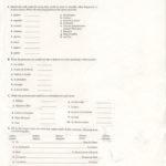 8Th Grade French Within La Famille French Worksheet