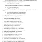 9 Pronoun Antecedent Examples Pdf  Examples With Regard To Pronoun Agreement Worksheet Pdf
