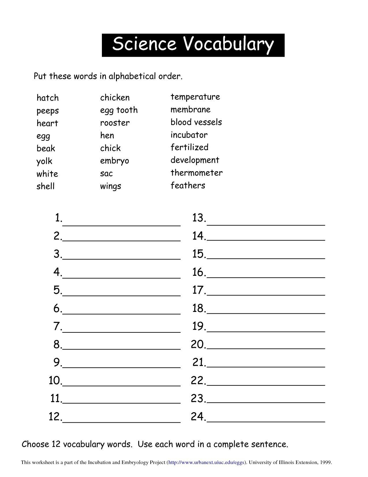 9Th Grade Vocabulary Worksheets  Briefencounters For 9Th Grade Vocabulary Worksheets