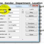 Blank Excel Data Input Form Template inside Excel Data Input Form Template Sample