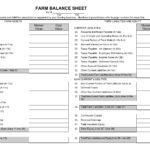Document Of Balance Sheet Format In Excel And Balance Sheet Format In Excel For Google Spreadsheet