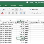 Document Of Credit Card Reconciliation Template In Excel In Credit Card Reconciliation Template In Excel Template