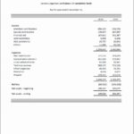 Documents Of Non Profit Balance Sheet Template Excel With Non Profit Balance Sheet Template Excel Sheet