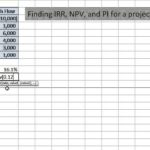 Documents Of Npv Irr Excel Template With Npv Irr Excel Template For Personal Use