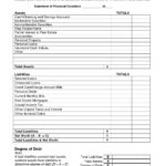 Documents Of Personal Financial Statement Template Excel Intended For Personal Financial Statement Template Excel Template