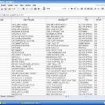 Example Of Customer Database Excel Template To Customer Database Excel Template Templates