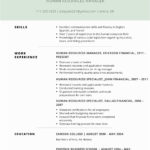 Example Of Examples Of Excellent Resumes 2017 In Examples Of Excellent Resumes 2017 For Google Spreadsheet
