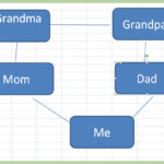 Example Of Excel Genealogy Template Within Excel Genealogy Template Letters