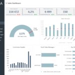 Example Of Interactive Dashboard Excel Template Within Interactive Dashboard Excel Template In Workshhet