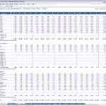 Example Of Pampl Excel Template Within Pampl Excel Template For Free