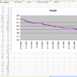Example Of Weight Loss Excel Template In Weight Loss Excel Template In Spreadsheet