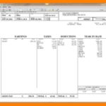 Examples Of 1099 Pay Stub Template Excel Inside 1099 Pay Stub Template Excel Xlsx