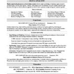 Examples Of Excel Resume Template And Excel Resume Template Samples