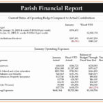Examples Of Non Profit Financial Statement Template Excel Inside Non Profit Financial Statement Template Excel Download