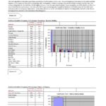 Examples Of Pareto Chart Excel Template With Pareto Chart Excel Template Template