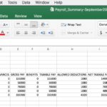 Examples Of Payroll Report Template Excel With Payroll Report Template Excel For Google Sheet