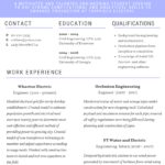 Free Examples Of Excellent Resumes 2017 For Examples Of Excellent Resumes 2017 In Spreadsheet