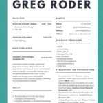 Free Examples Of Excellent Resumes 2017 To Examples Of Excellent Resumes 2017 Examples
