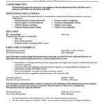 Free Excellent Resume Example And Excellent Resume Example Sheet